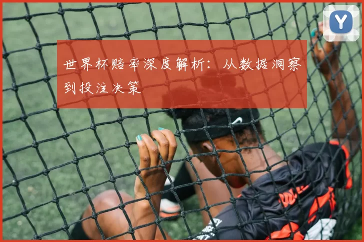 世界杯赔率深度解析:从数据洞察到投注决策