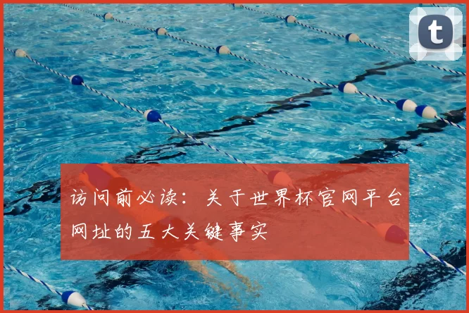 访问前必读:关于世界杯官网平台网址的五大关键事实