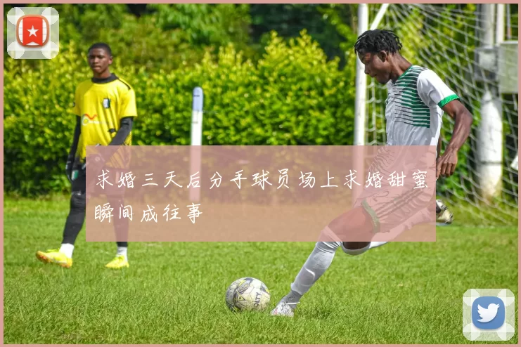 求婚三天后分手球员场上求婚甜蜜瞬间成往事