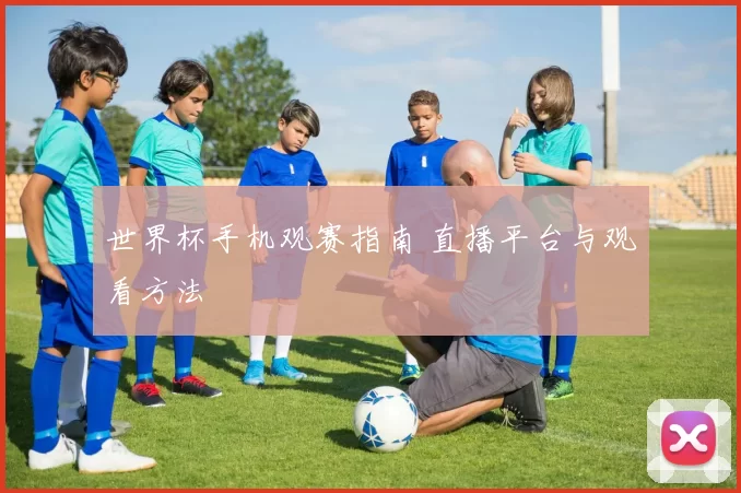 世界杯手机观赛指南 直播平台与观看方法