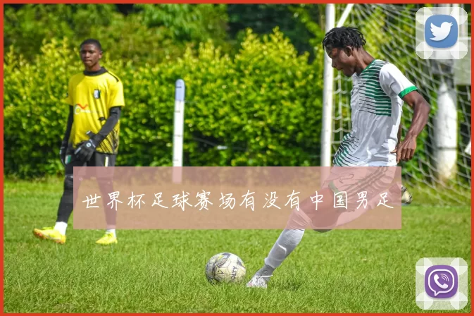 世界杯足球赛场有没有中国男足