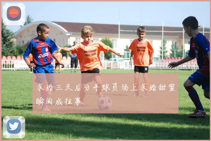 求婚三天后分手球员场上求婚甜蜜瞬间成往事