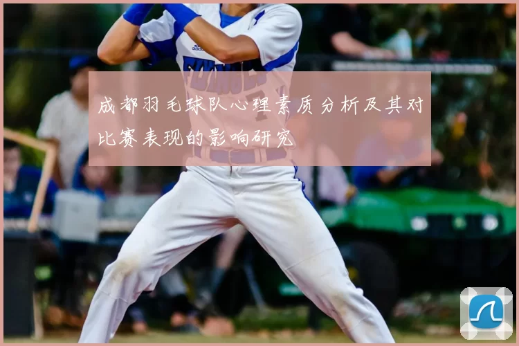 成都羽毛球队心理素质分析及其对比赛表现的影响研究