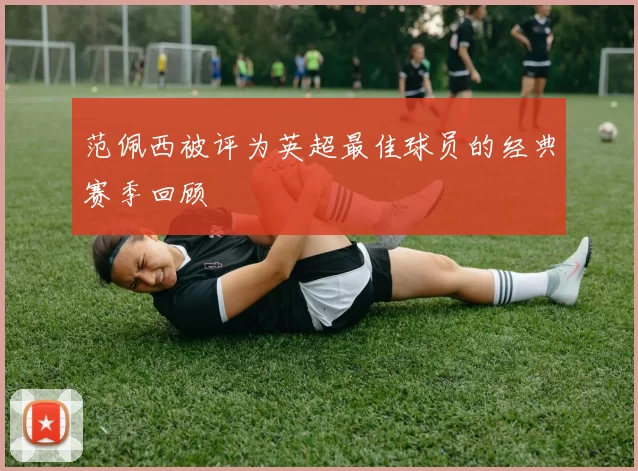 范佩西被评为英超最佳球员的经典赛季回顾