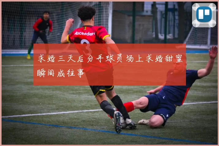 求婚三天后分手球员场上求婚甜蜜瞬间成往事