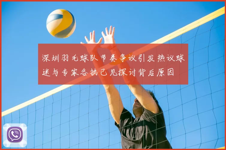 深圳羽毛球队节奏争议引发热议球迷与专家各执己见探讨背后原因
