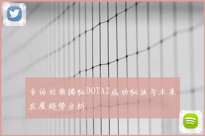 专访刘丽揭秘DOTA2成功秘诀与未来发展趋势分析