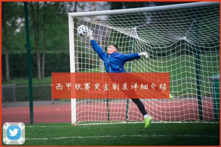 西甲联赛奖金制度详细介绍