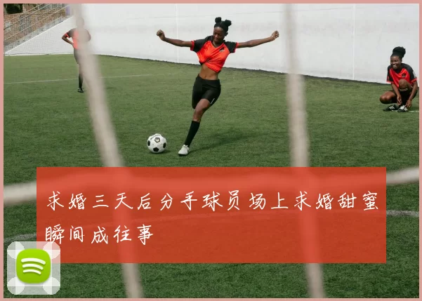 求婚三天后分手球员场上求婚甜蜜瞬间成往事