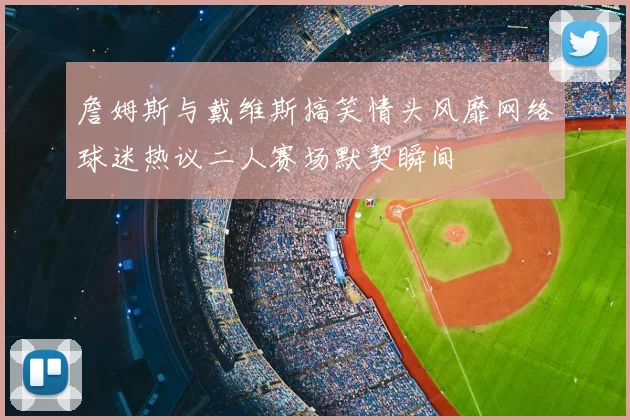 詹姆斯与戴维斯搞笑情头风靡网络球迷热议二人赛场默契瞬间