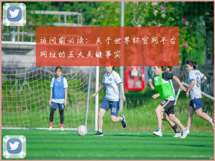 访问前必读:关于世界杯官网平台网址的五大关键事实