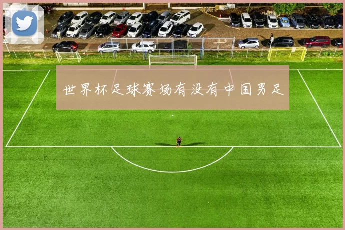 世界杯足球赛场有没有中国男足