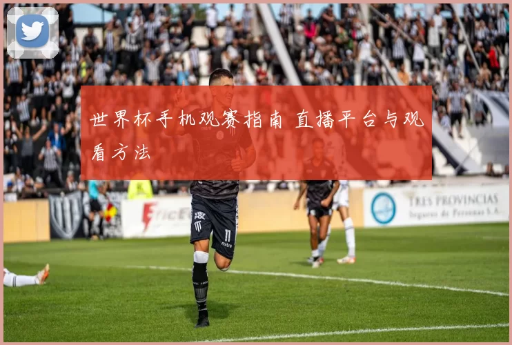 世界杯手机观赛指南 直播平台与观看方法