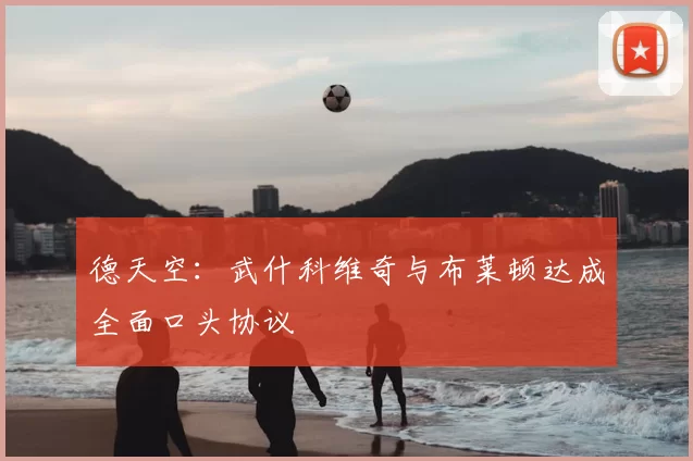德天空:武什科维奇与布莱顿达成全面口头协议