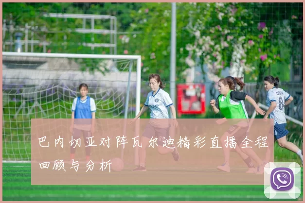 巴内切亚对阵瓦尔迪精彩直播全程回顾与分析