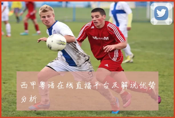 西甲粤语在线直播平台及解说优势分析