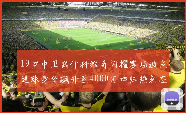 19岁中卫武什科维奇闪耀赛场造点进球身价飙升至4000万回归热刺在即