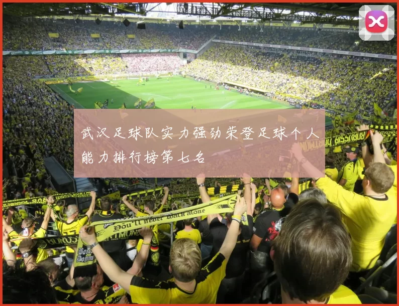 武汉足球队实力强劲荣登足球个人能力排行榜第七名
