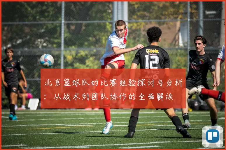 北京篮球队的比赛经验探讨与分析：从战术到团队协作的全面解读