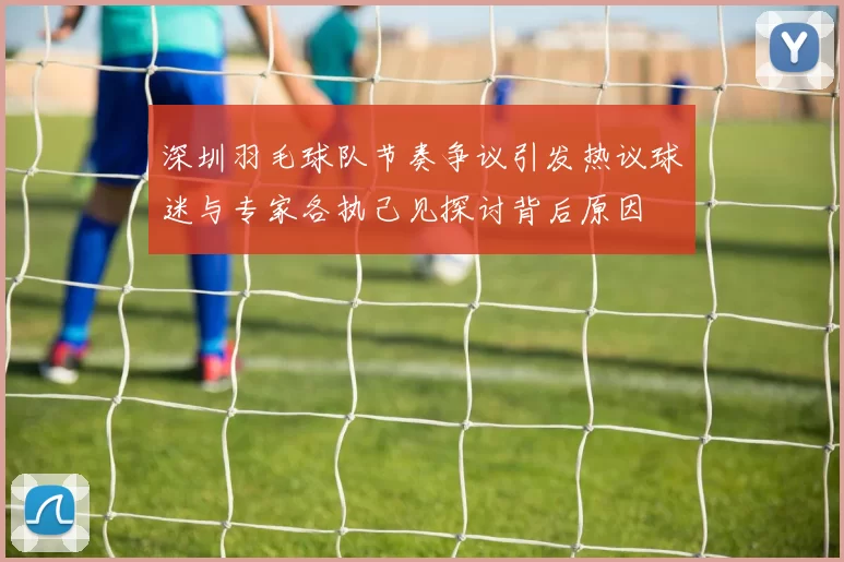 深圳羽毛球队节奏争议引发热议球迷与专家各执己见探讨背后原因