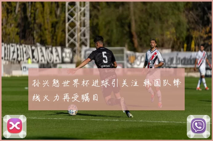 孙兴憨世界杯进球引关注 韩国队锋线火力再受瞩目