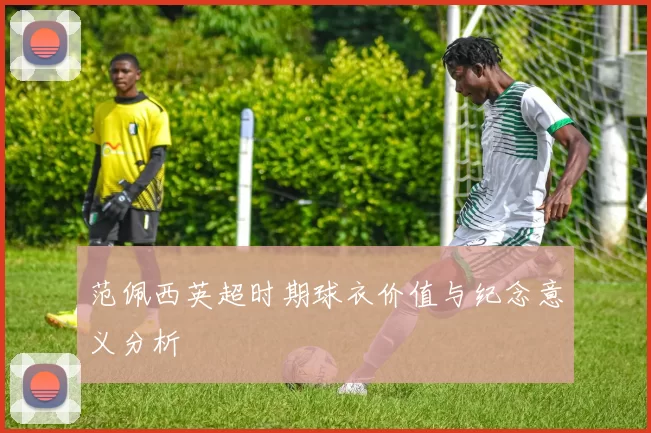 范佩西英超时期球衣价值与纪念意义分析